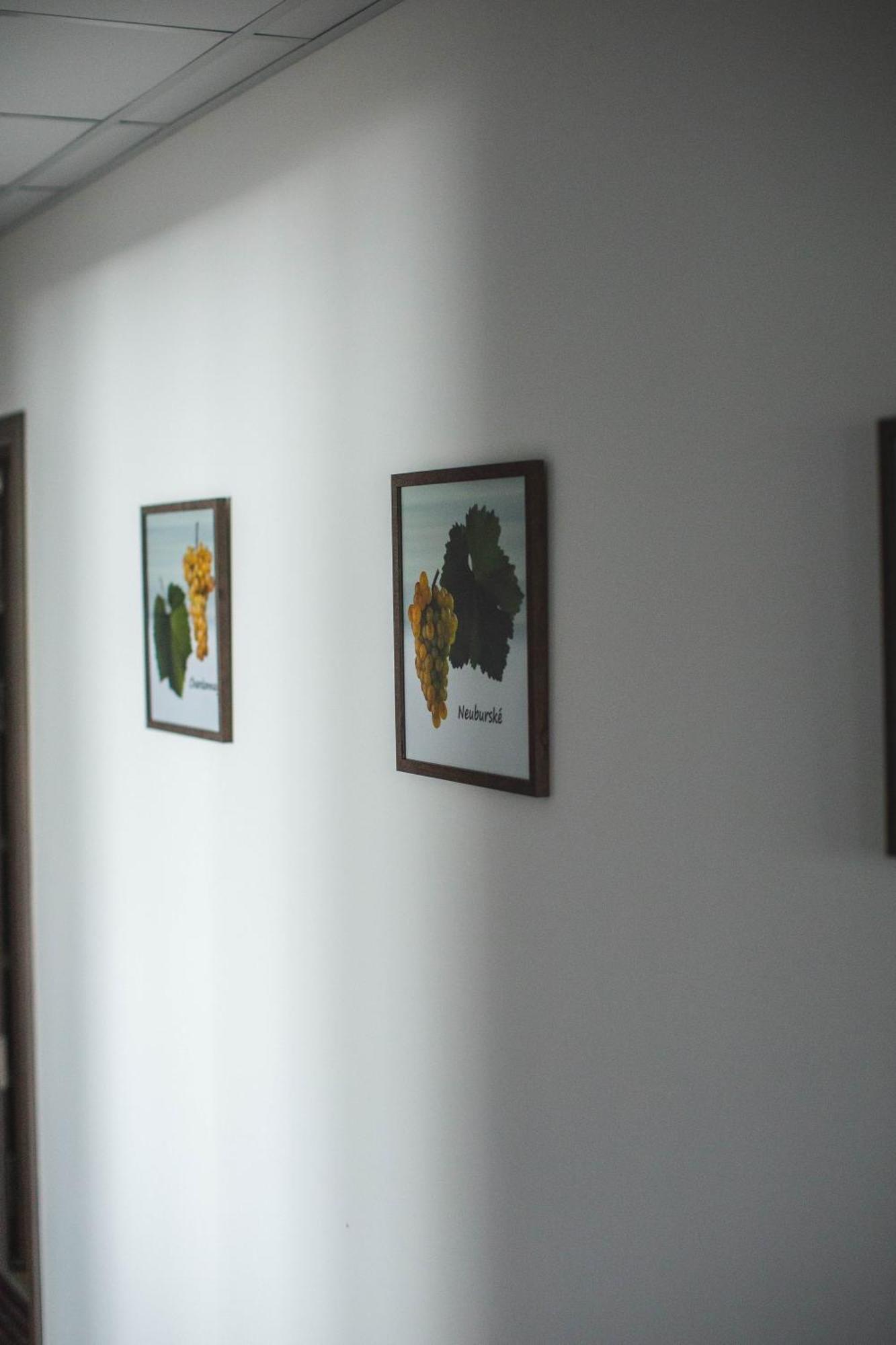 Apartmany Pemag Mikulov Ngoại thất bức ảnh